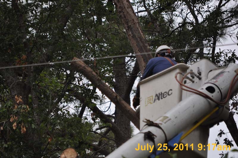 Entergy 054